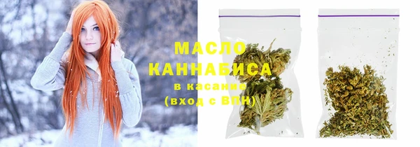 гидра Абаза