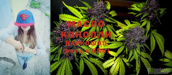гидра Абаза