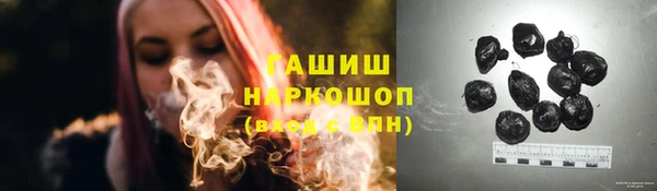 гидра Абаза