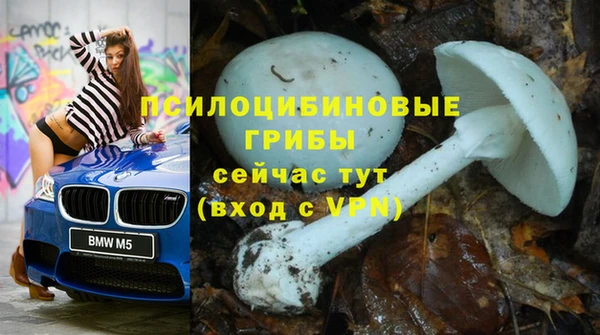 мет Абинск
