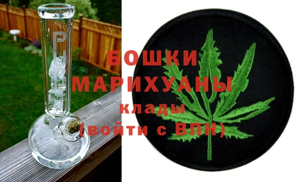 гидра Абаза