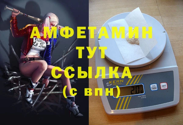 гидра Абаза