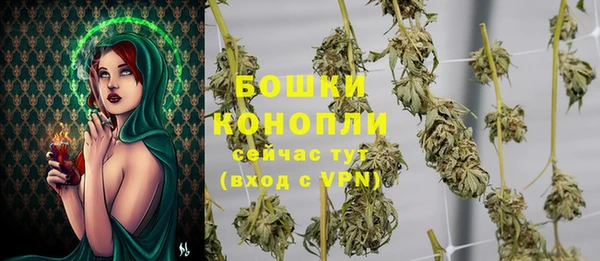 гидра Абаза