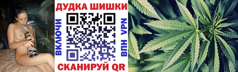 Каннабис гибрид  блэк спрут как зайти  Новокузнецк 